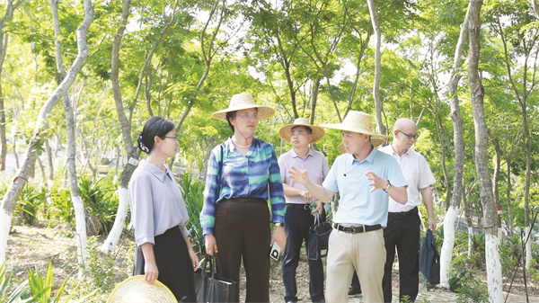 1766222332297774.jpg 1-1 1.jpg