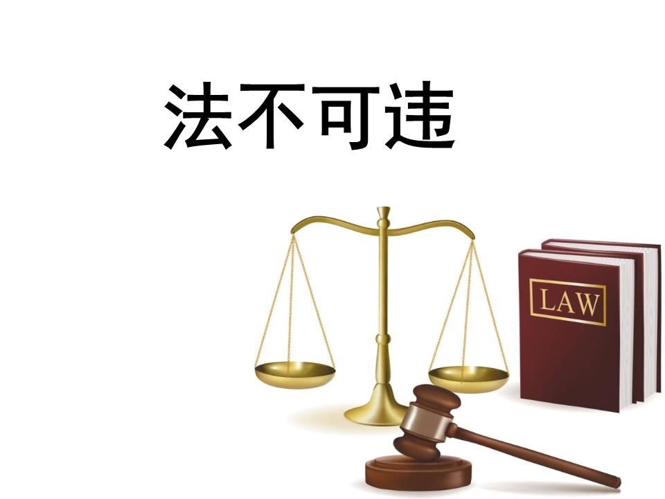 55160436_副本.jpg